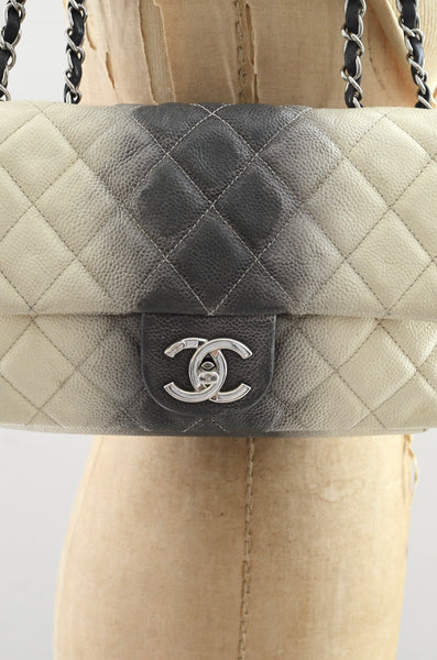 CHANEL Ombré Flap Bag