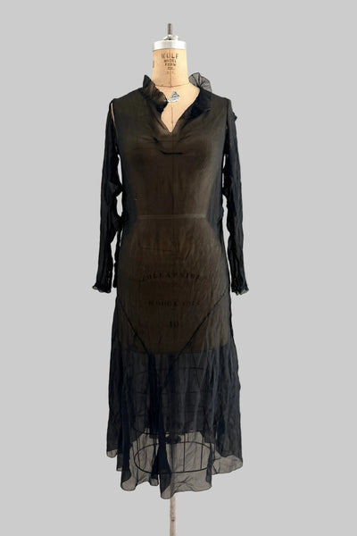 SPRING CLEANING - 1920s Sheer Dress