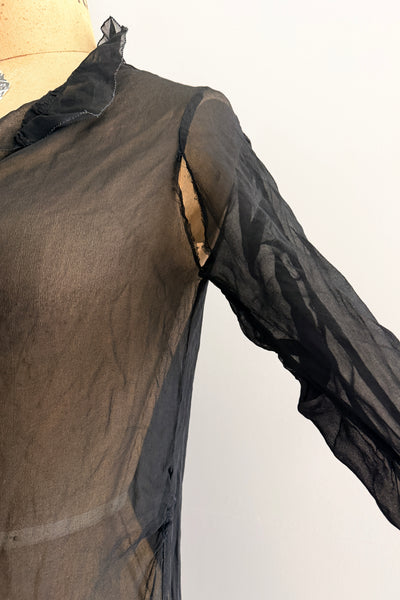 SPRING CLEANING - 1920s Sheer Dress