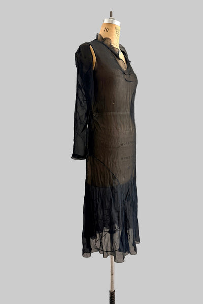 SPRING CLEANING - 1920s Sheer Dress