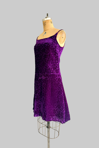 Young Edwardian Velvet Dress
