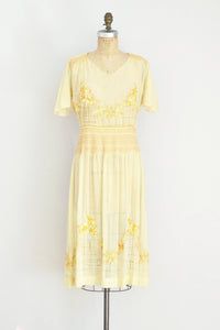 1920s Hungarian Embroidered Dress - Pickled Vintage