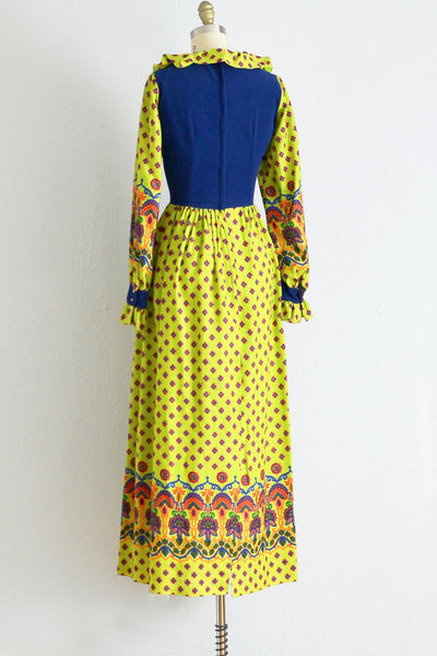 s - Tender Shoots Spring Maxi Dress - Pickled Vintage