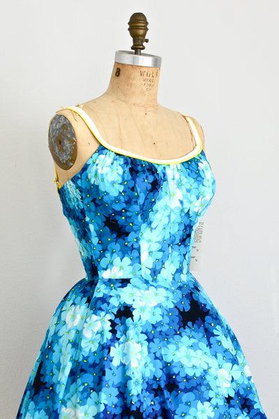 Wild Rose De Weese Dress - Pickled Vintage
