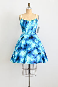 Wild Rose De Weese Dress - Pickled Vintage