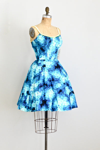 Wild Rose De Weese Dress - Pickled Vintage