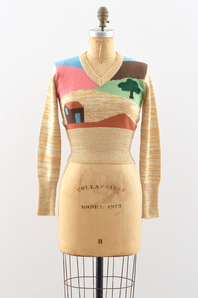 Novelty Sweater