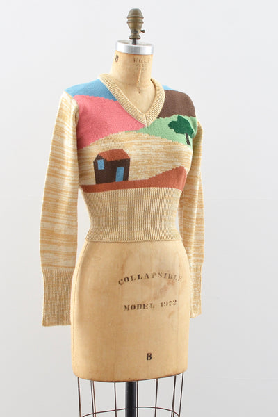 Novelty Sweater