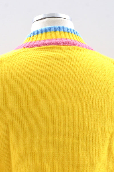 Aureolin Sweater